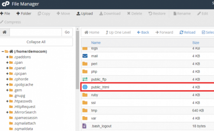 public_html wordpress