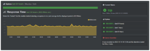 Vultr Uptime Report